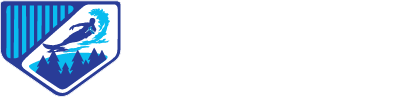 The Lewis CO Of Tennessee , Llc.