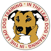 In The Lead Dog Training, LLC