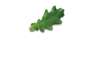 Boulder Creek Custom Homes LLC