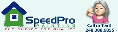 Construction Professional Speed Pro Painting CO in Southfield MI