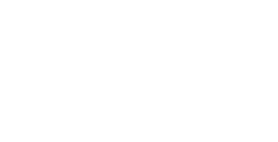 Bridge Access Specialties, L.L.C.