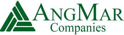 Angmar Medical Holdings INC