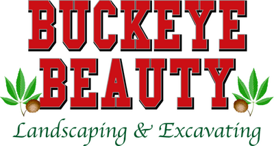 Buckeye Beauty Ldscpg And Excvtg