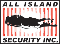 Construction Professional All Island Security INC in Mineola NY