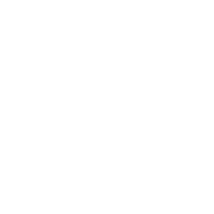 Concrete In Disguise, LLC
