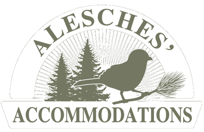 Alesches, Inc.
