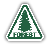 Forest Construction CO INC