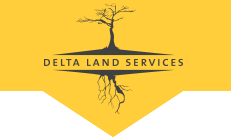 Ironwood Delta Holdings, LLC