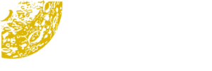 Lunar Electrical Contr INC