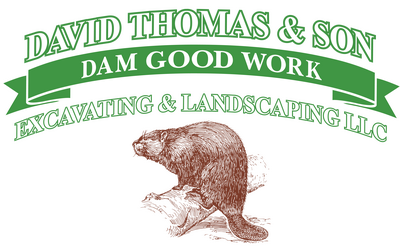 Thomas David Excavation