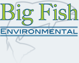 Big Fish Environmental LLC