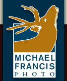 Francis Michael