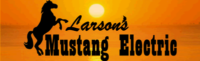 Larsons Mustang Elc CO INC