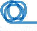 Blue Wire LLC