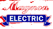 Magnon Electric INC