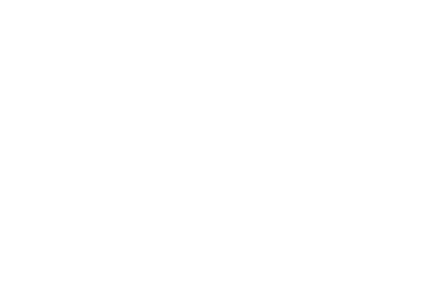 Lynch Bros Roofing INC