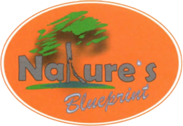 Natures Blueprint, INC