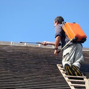Construction Professional Richards Roof Service in Shelton WA