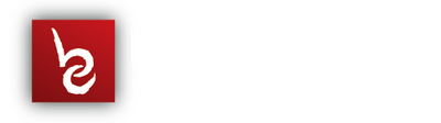 Bocchetti Contracting INC