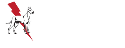 Dane Electric