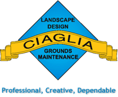 Ciaglia Landscape Design And Ground Maintenance