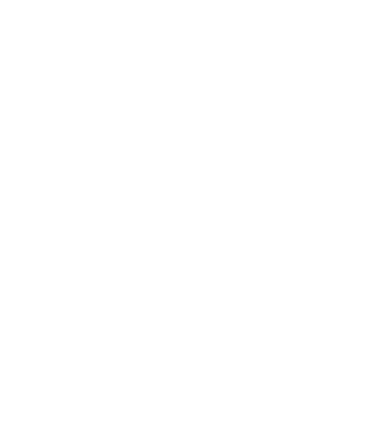 Iron Works Gym INC