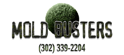 Construction Professional Mold Busters LLC in Harbeson DE