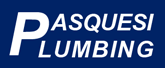 Construction Professional Pasquesi Plumbing CORP in Highland Park IL