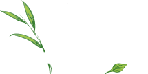 Wood Hollow Cabinets, Inc.