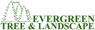 Evergreen Tree And Landscape Services Inc.
