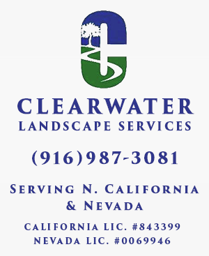 Clearwater Landscape Services