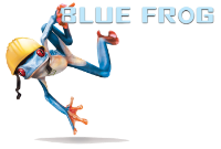 Blue Frog Construction, LLC