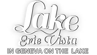 Lake Erie Vista