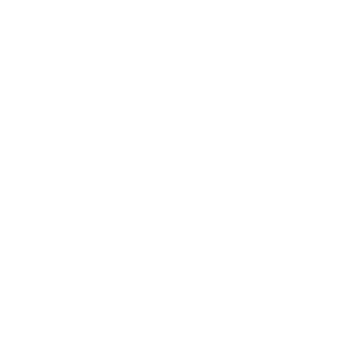 Amherst Business Improvement District INC