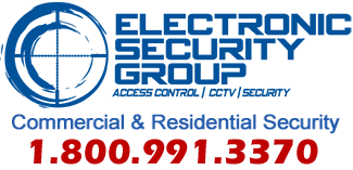 Electronics Security Group