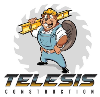 Construction Professional Telesis Construction, INC in Orangevale CA