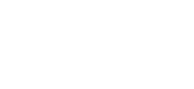 Burrows Bros INC