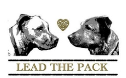 Lead Pack Dog Training