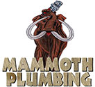 Construction Professional Mammoth Plumbing LLC in Kingwood TX