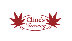 Construction Professional Clines Nursery, LLC in Shelby NC