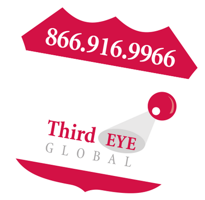 Third Eye Global, INC
