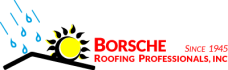 Borsche Rofg Professionals INC