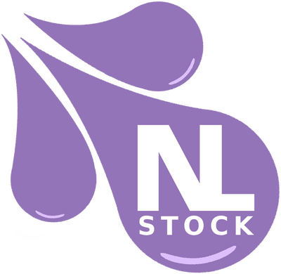 N L Stock INC