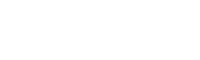 Kirkland And Shaw INC