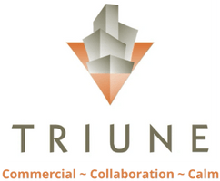 Triune Services Group, Inc.