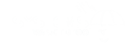 Systems Waterproofing, Inc.