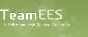 Team Ees, Inc.