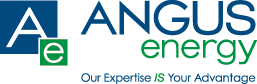 Angus Partners LLC