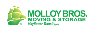 Construction Professional Molloy Bros INC in Fort Lauderdale FL