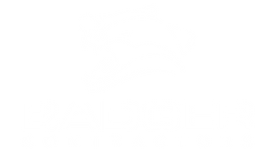 Badger Contractor LLC